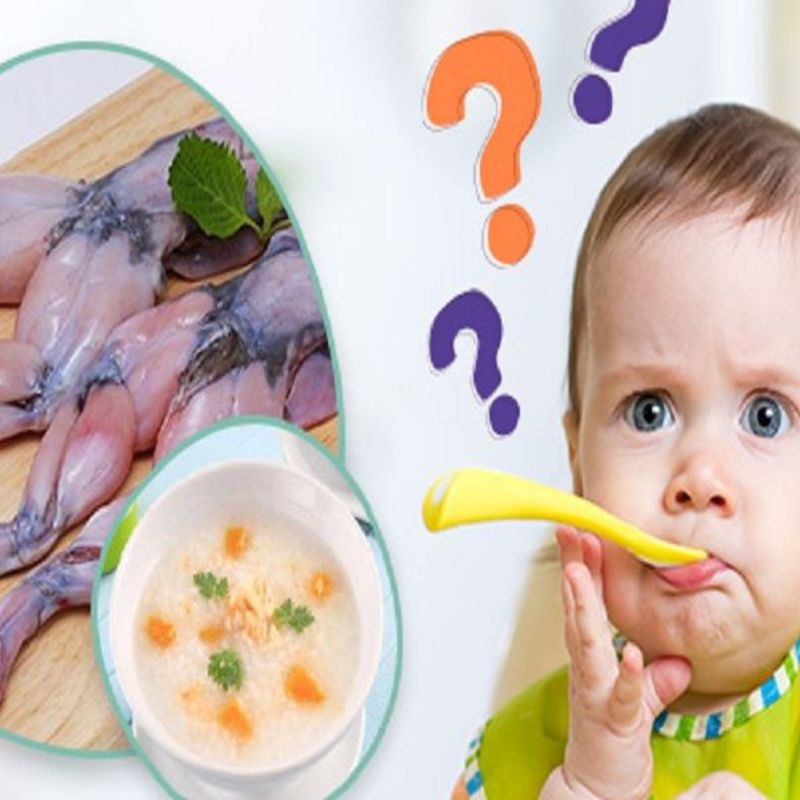 Lợi ích của thịt ếch đối với sức khỏe của bé