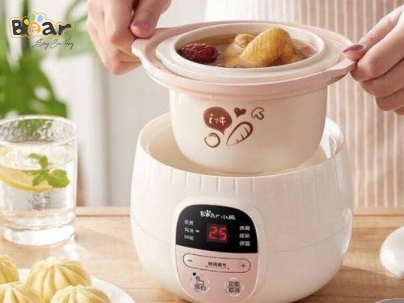 Đặc điểm của nồi nấu chậm Bear